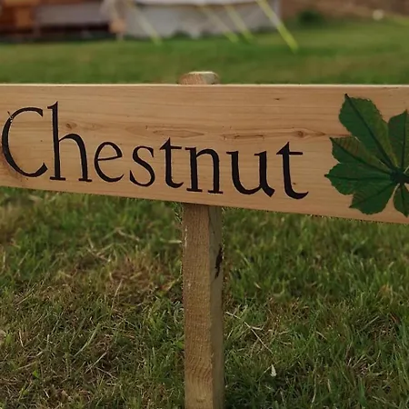 Chestnut 6M Xl Bell Tent Luxusní stan Liverton